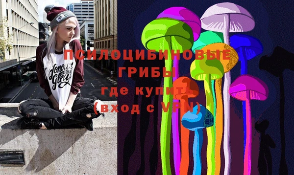 тгк Балахна