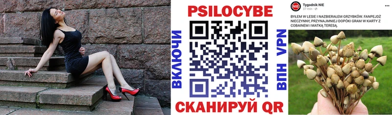 Купить где  Прохладный  Псилоцибиновые грибы мухоморы 